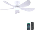 Ventilateur, avec télécommande, Blanc