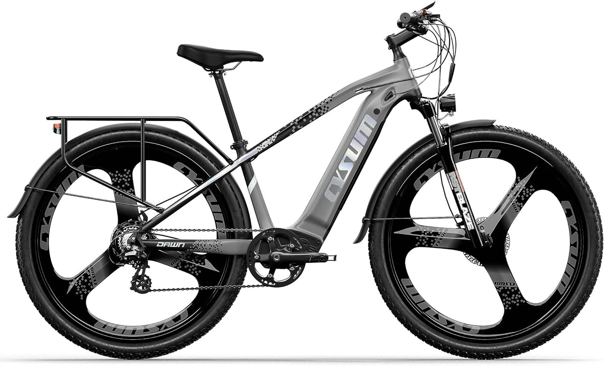 Speedy, Batterie, 250W, 48v